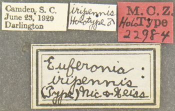 Media type: image;   Entomology 22984 Aspect: labels